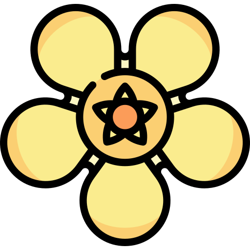 Кориандра плоды